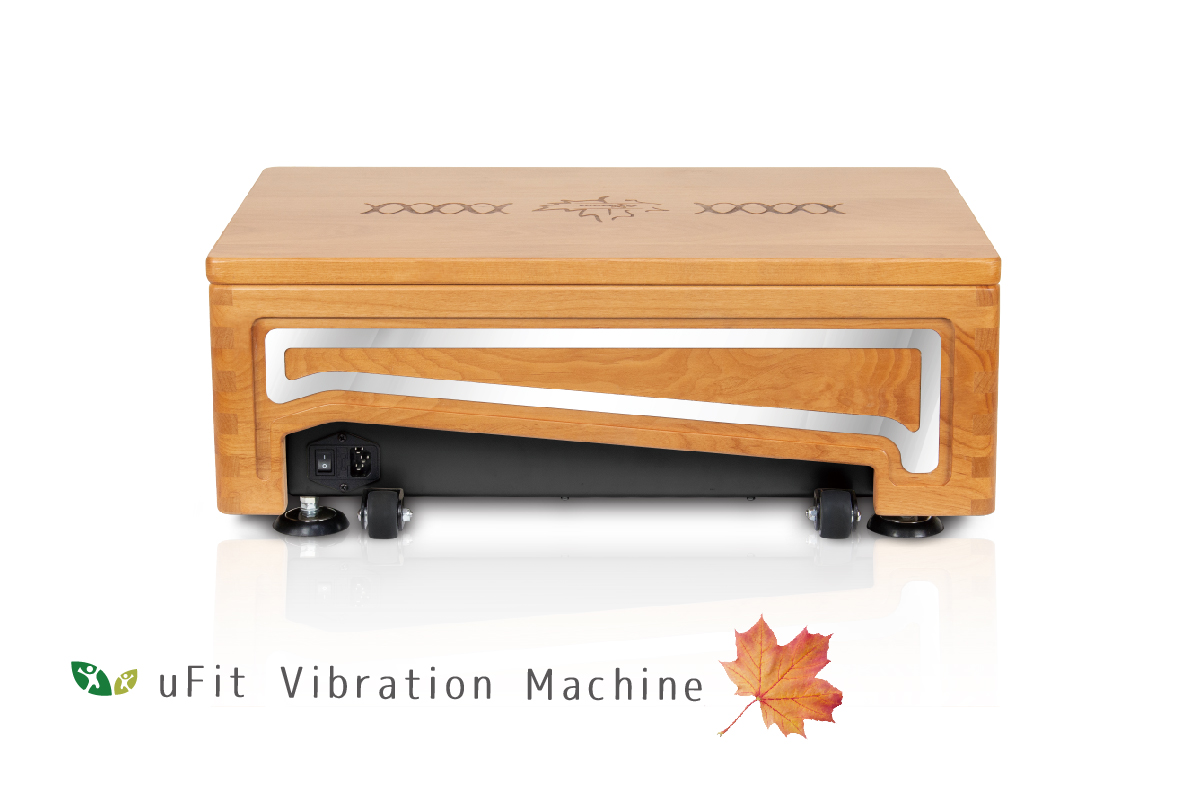 Body soul best sale vibration machine